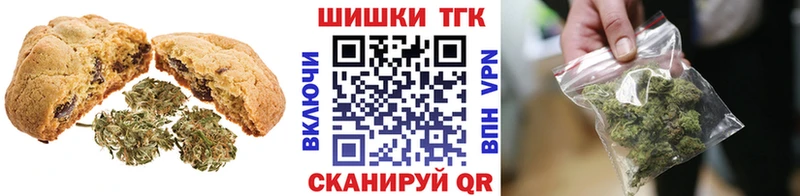Купить  Междуреченск  Canna-Cookies конопля 