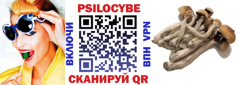Купить  Междуреченск  Псилоцибиновые грибы Psilocybine cubensis 